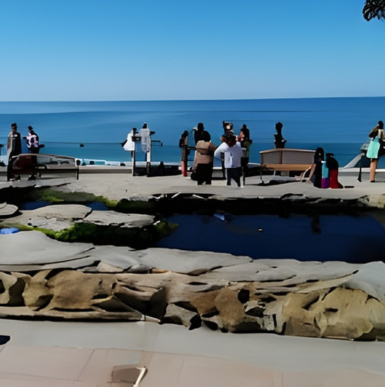 Modern aquarium building with large windows overlooking the ocean at Birch Aquarium