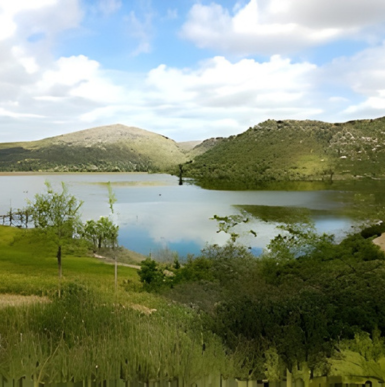Hiking trail surrounded by oak trees and natural habitat at Blue Sky Ecological Reserve.