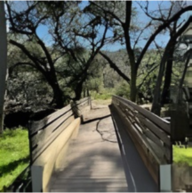 Walking trail along a pond with trees and wildlife at Buena Vista Park.
