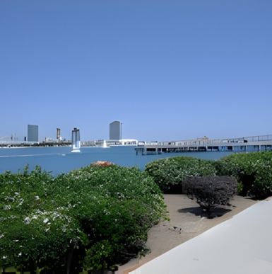 Open grassy area with palm trees and views of Coronado Beach skyline at Centennial Park