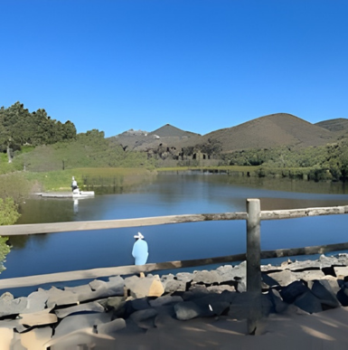 Peaceful lake with walking trails, green lawns, and wildlife sightings at Discovery Lake