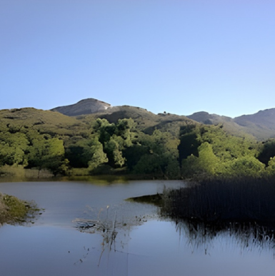 Open grassy hills and picnic areas with scenic panoramic views at Dos Picos County Park