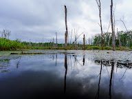 Greenbelt Hiking Trail in Kearny Mesa