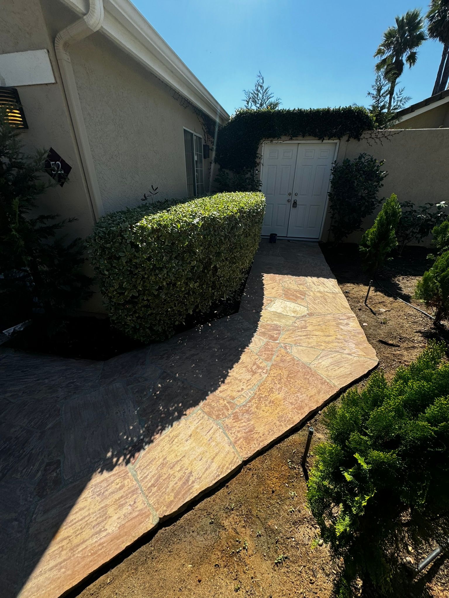 A brick pathway leads past a trimmed green hedge towards a white gate. Sunny day.