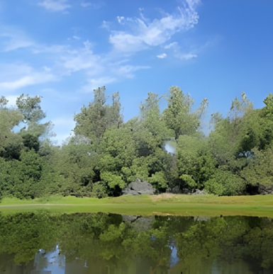 Hiking trails surrounded by native plants and hills at Los Jilgueros Preserve