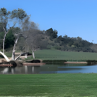 Vineyard rows and tasting area at Monserate Winery in Bonsall