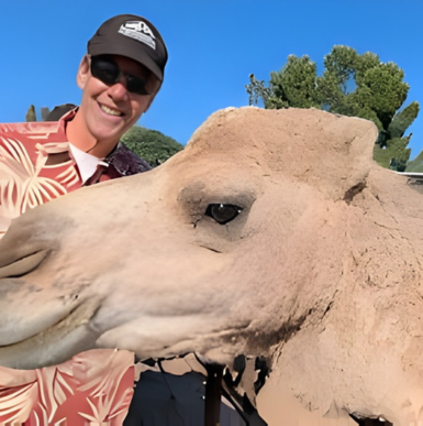 Camels grazing near farm buildings with sunny skies at Oasis Camel Dairy