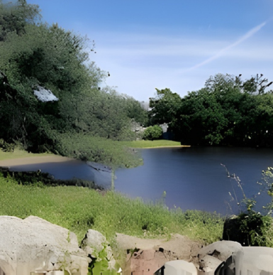 Open grasslands with rolling hills and native plants teeming with wildlife at Ramona Grasslands Preserve