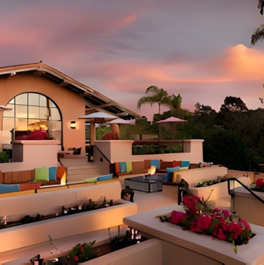 Luxury resort grounds with palm trees and relaxing spa amenities and serene atmosphere at Rancho Valencia Resort & Spa