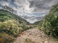 Ruffin Canyon Open Space in Kearny Mesa