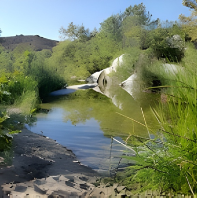 Riverbank trail with flowing water and wildlife at Santa Margarita River Trail Preserve