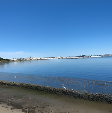 Long sandy beach along a narrow strip of land with ocean views at Silver Strand State Beach