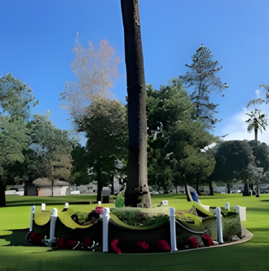 Green park area with playgrounds and shade trees at Spreckels Park in Coronado