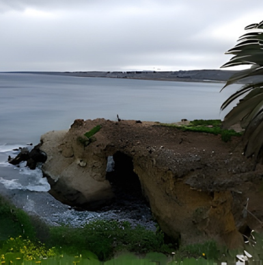 Coastal sea cave entrance visible from cliffside with ocean waves at Sunny Jim's Sea Cave