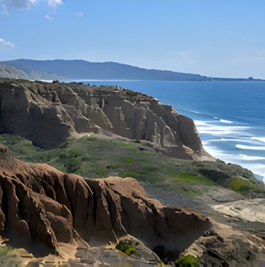 Cliffside hiking trails with panoramic ocean views and native Torrey pine trees at Torrey Pines State Natural Reserve