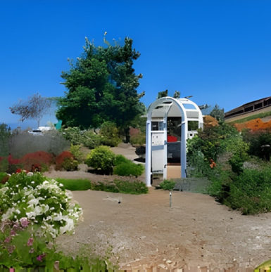 Rows of drought-tolerant plants and succulents displayed at Waterwise Botanicals
