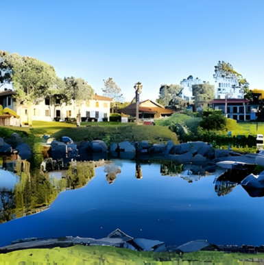 Peaceful pond at Webb Lake with ducks, trees, and walking paths.