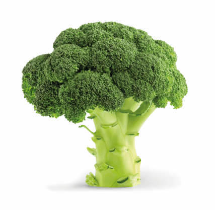 Biologische broccoli
