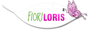 LORIS+FIORI-logo