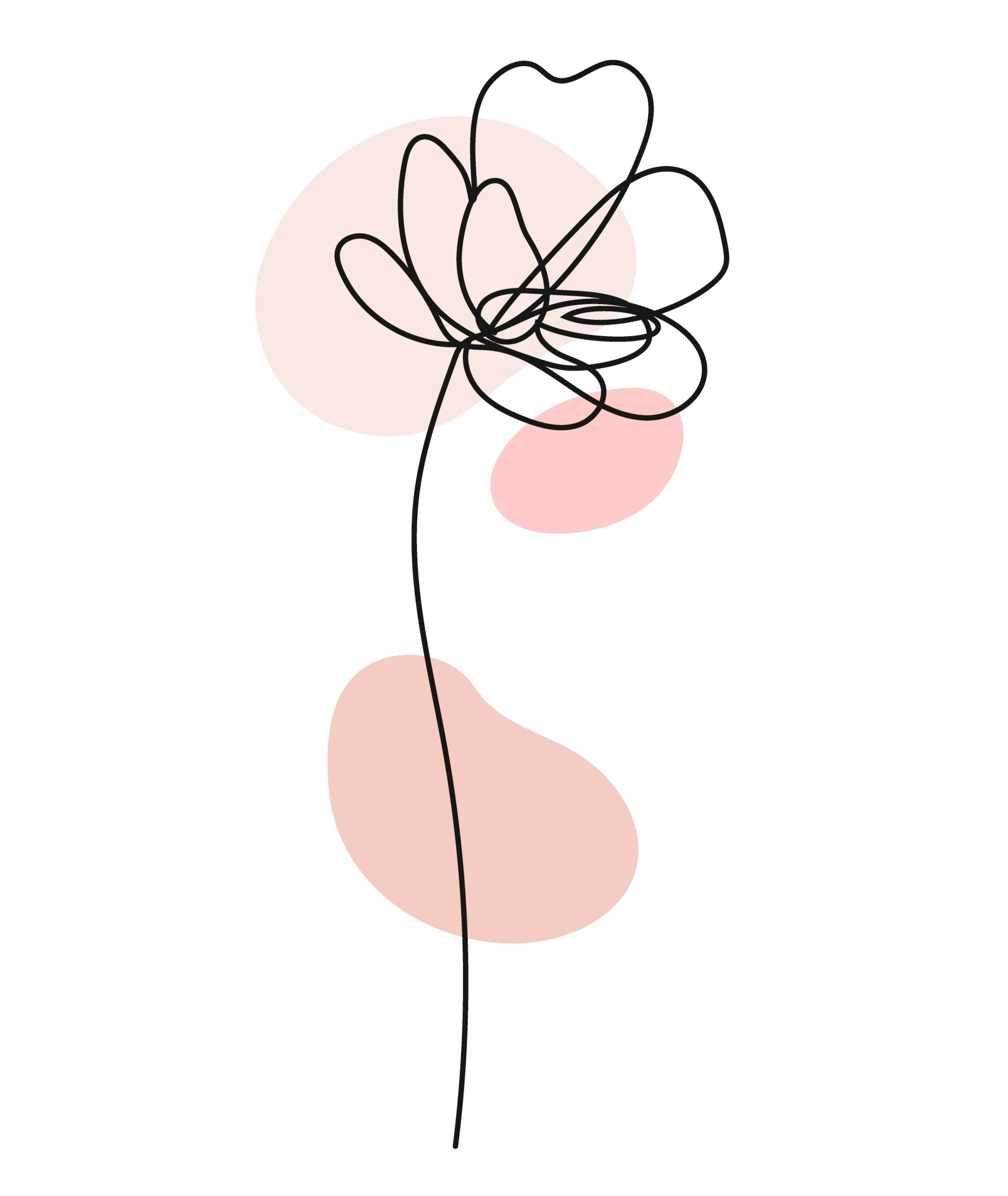 fiori online