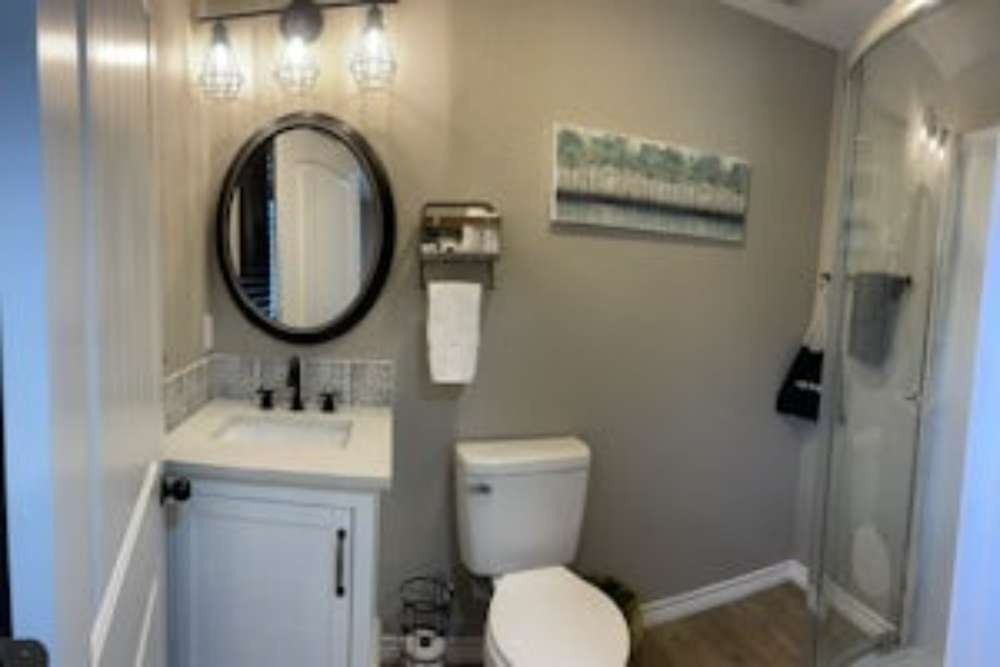 Small bathroom with a white vanity, round black mirror, toilet, and shower. Gray walls and light wood-look flooring.
