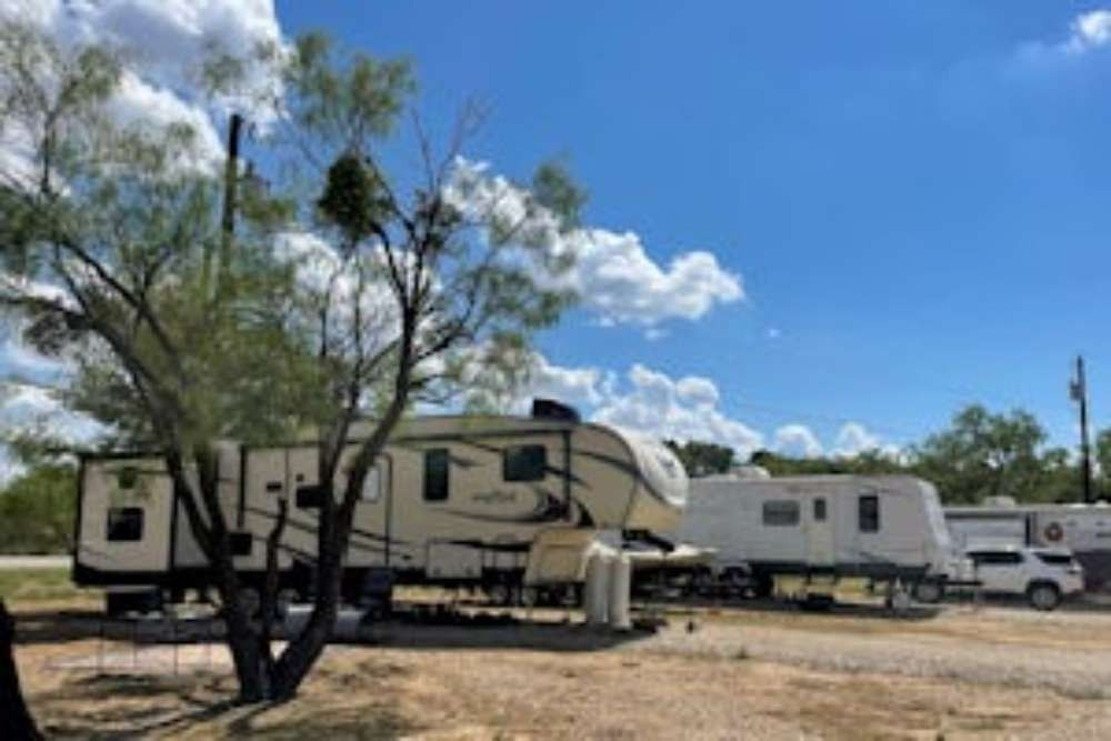 RV park with several recreational vehicles parked under a bright blue sky. A tree with green leaves is in the foreground.