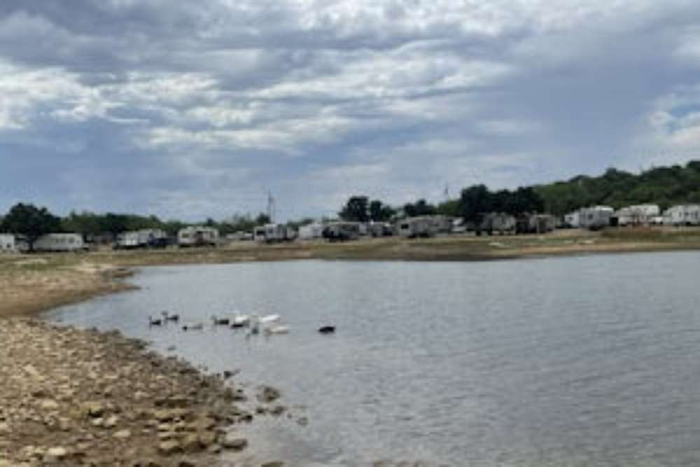 A line of RVs by a lake on a cloudy day, with a few birds near the shore.