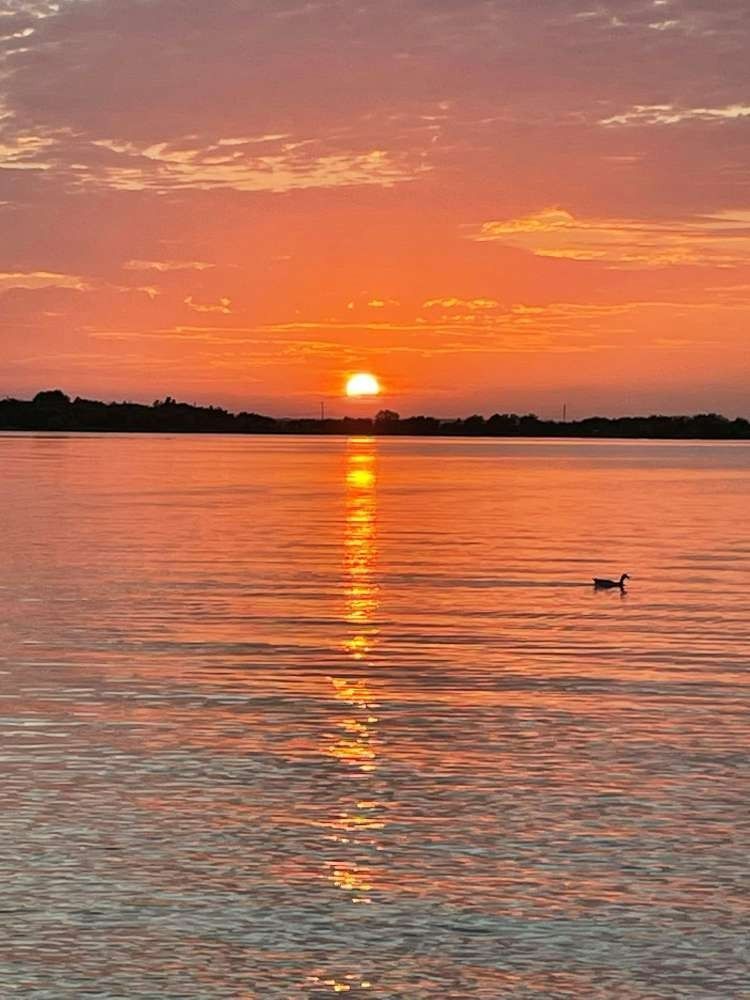 Sunset over calm water, with a long orange reflection and a single duck.