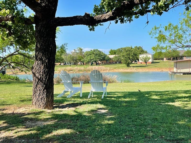 Two white Adirondack chairs sit on a grassy bank under a tree, overlooking a calm lake. A sunny day with buildings in the background.