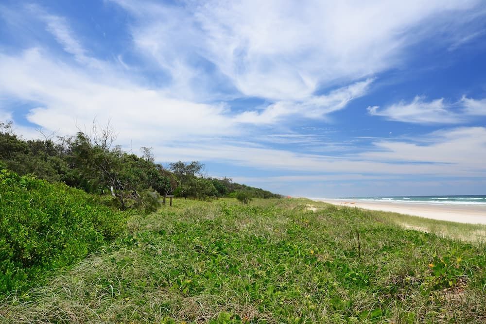 Beach with White Sand, Blue Sky and Green Grass — Coastcrete Concrete Specialist in Medowie, NSW