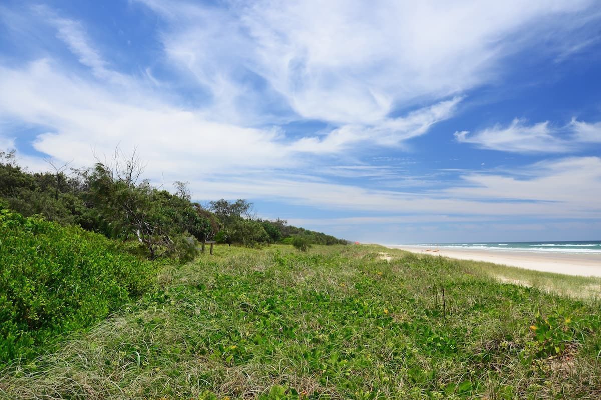 Grassy Dunes Lead to A Sandy Beach Under a Blue Sky — Coastcrete Concrete Specialist in Medowie, NSW