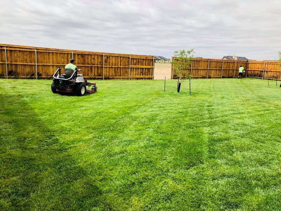 Absolute Lawn Care Amarillo Texas