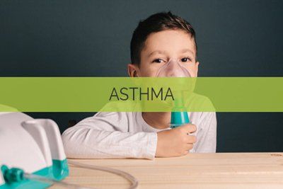 Paramao Root oil for Asthma