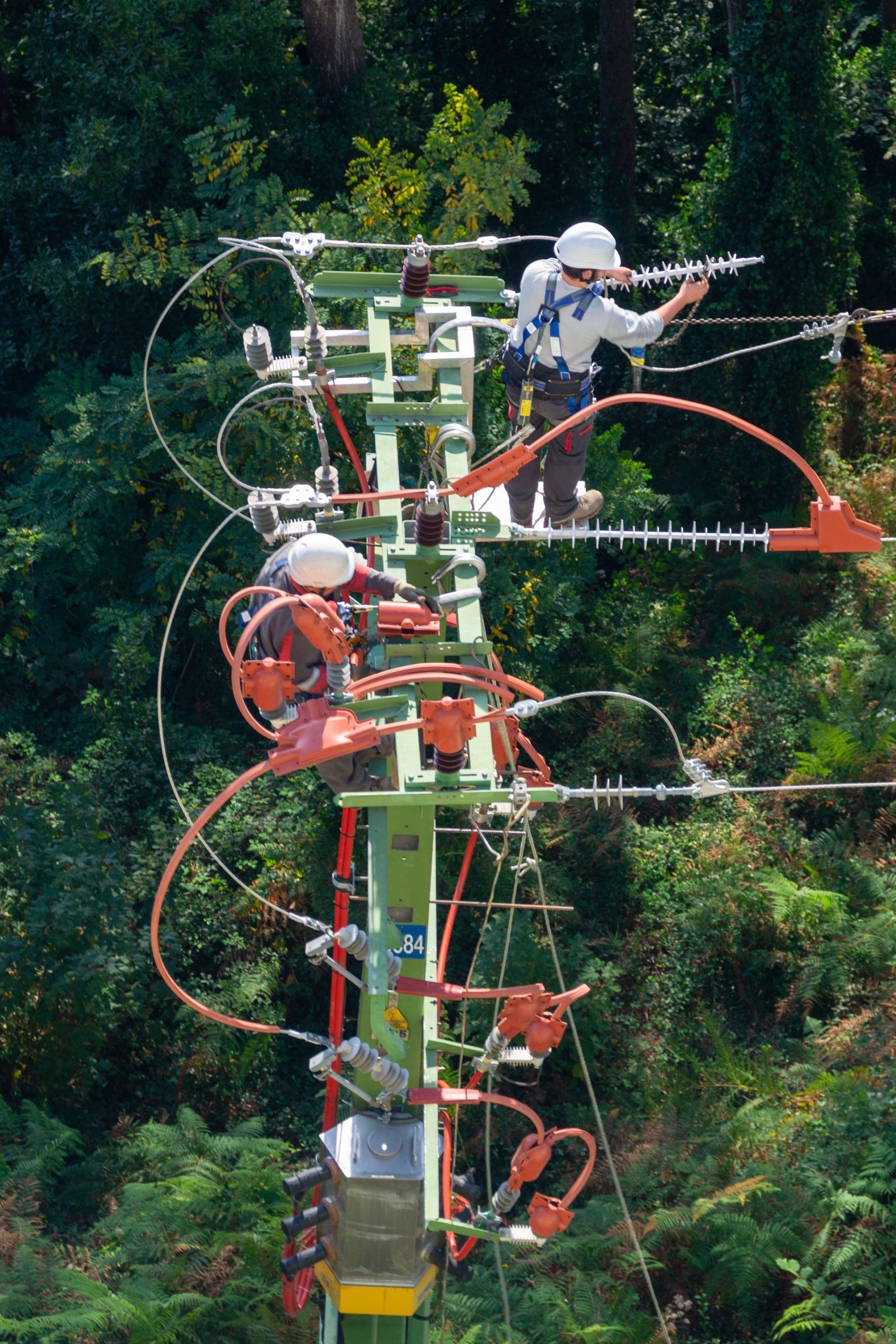 Two men are working on a power line in the woods.