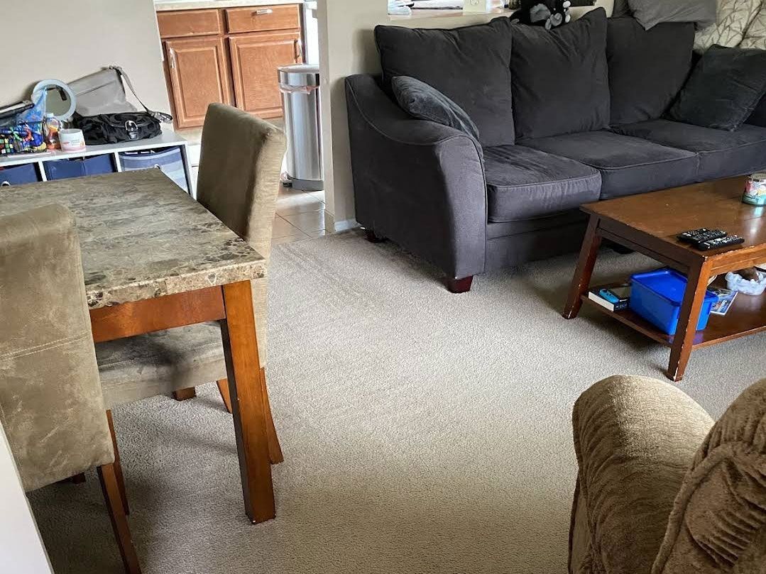 Living room with a table, sofa, and armchair on beige carpet.