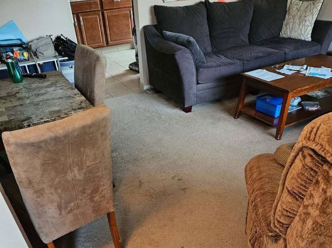 Living room with brown sofa, rug, table and chairs.