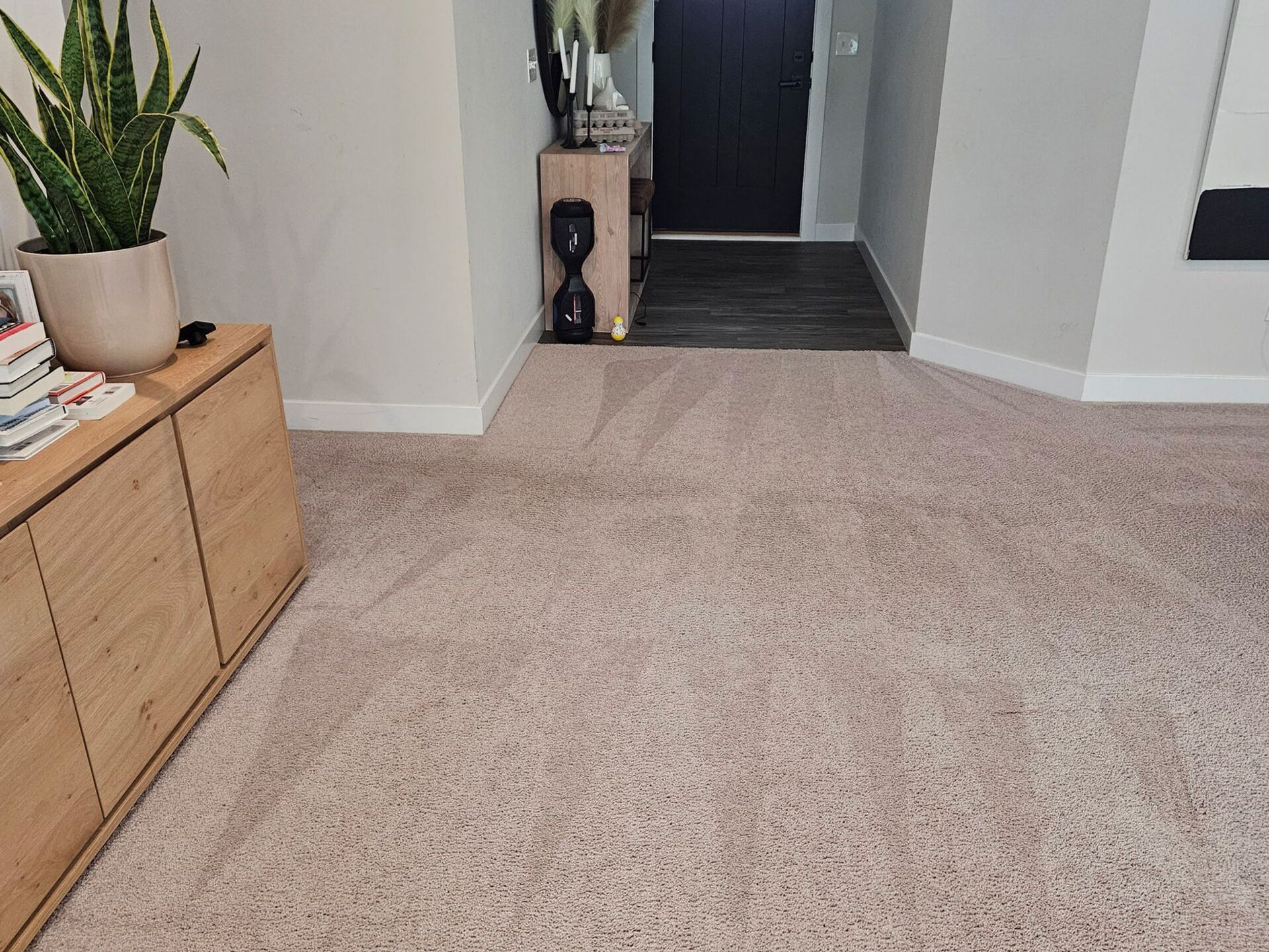 Neutral-toned room with beige carpet, a wooden cabinet, a plant, and a dark doorway.