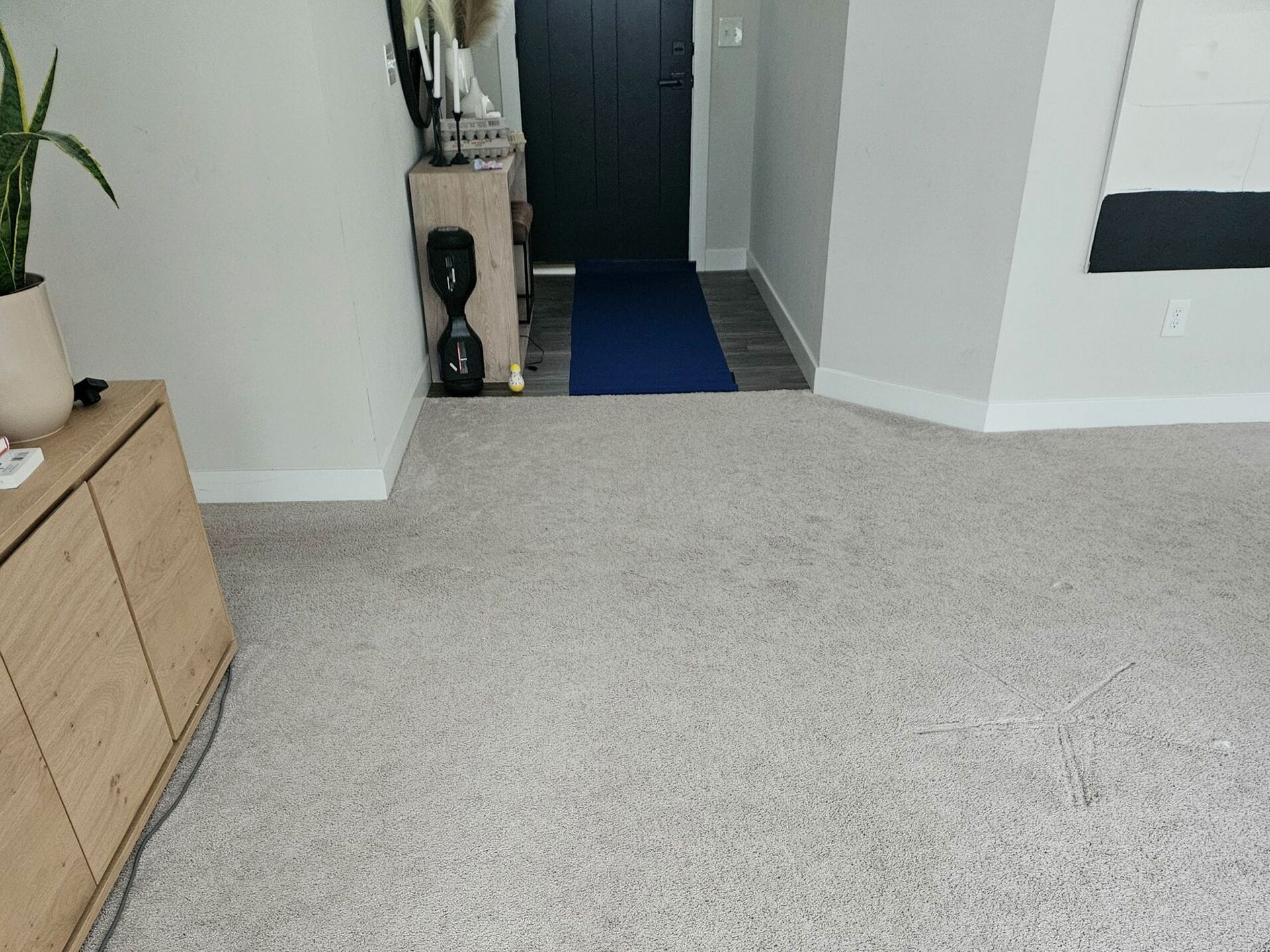 Light beige carpeted living room, wooden console with plant, entryway with blue mat and black door.