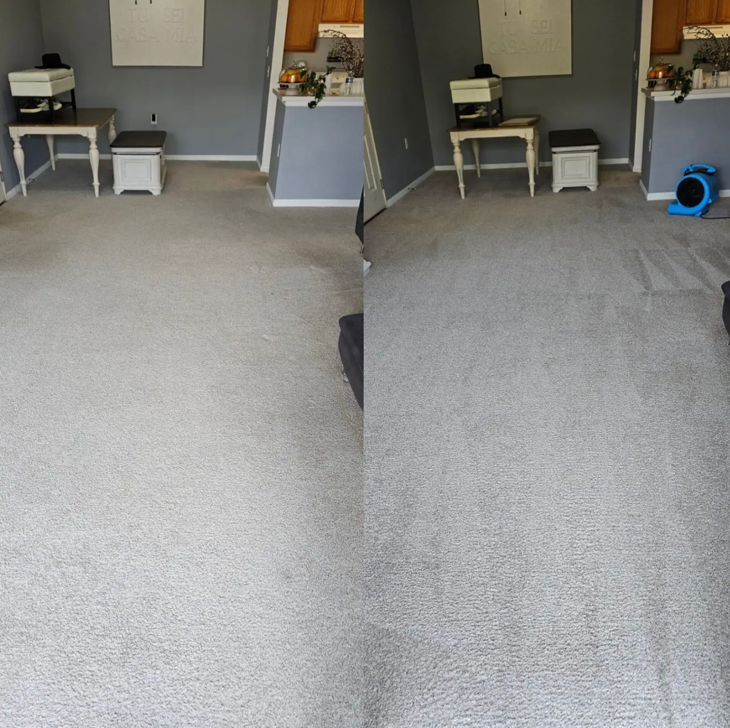 Side-by-side comparison of carpet: left side is stained, right side is clean.