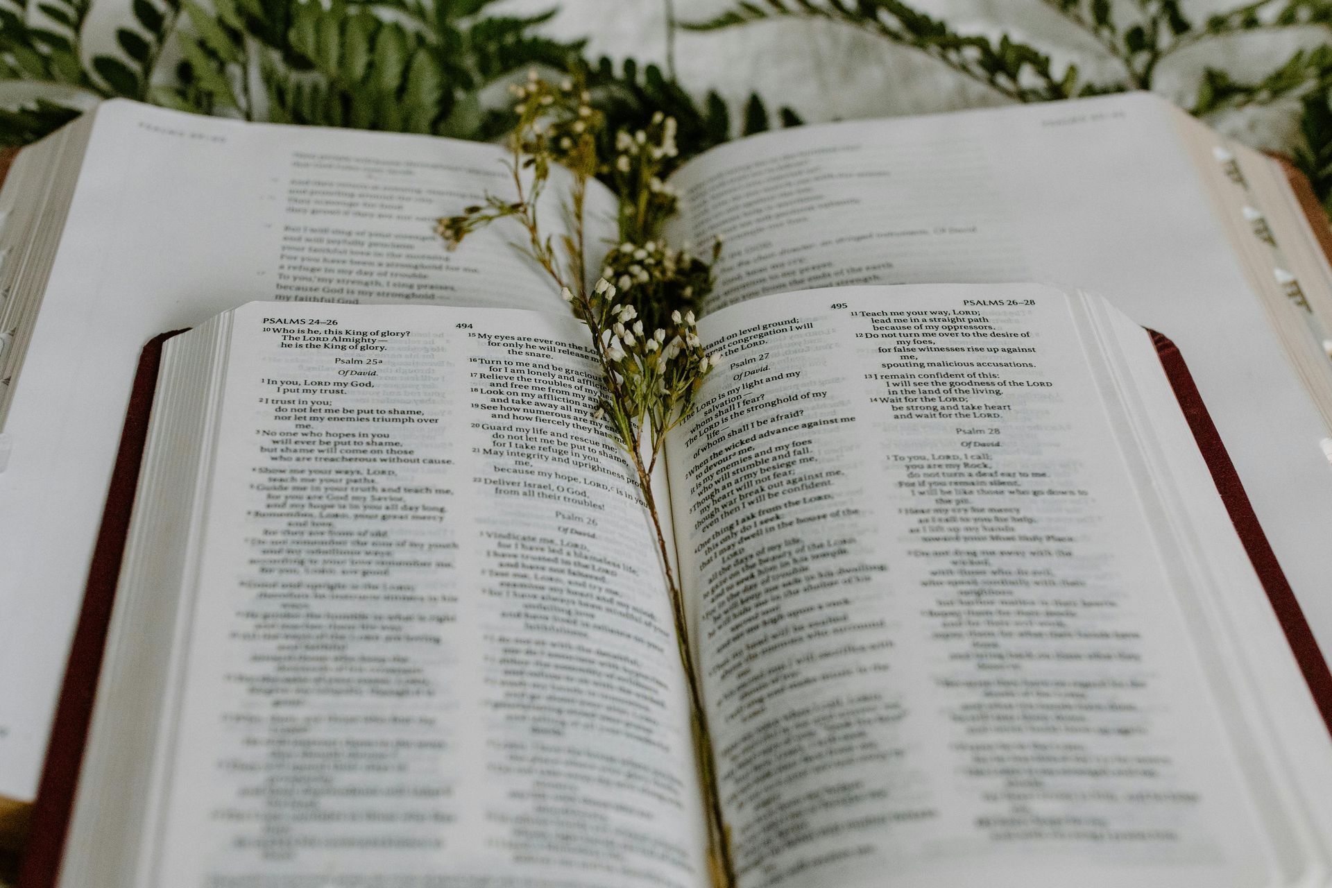 Bible verses