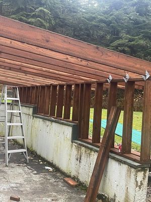 Leaning wooden pergola with corrugated roof beside a concrete wall, with a ladder and forested hillside behind.