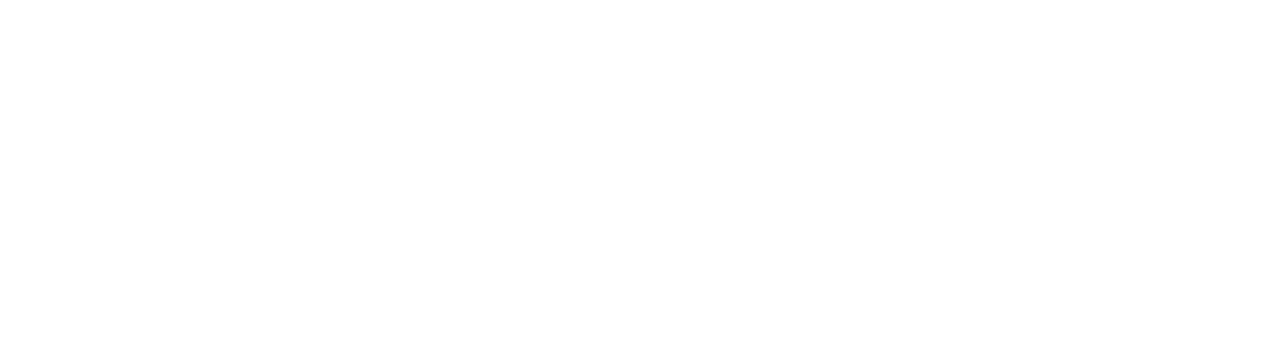 Blank white rectangle on a plain background.
