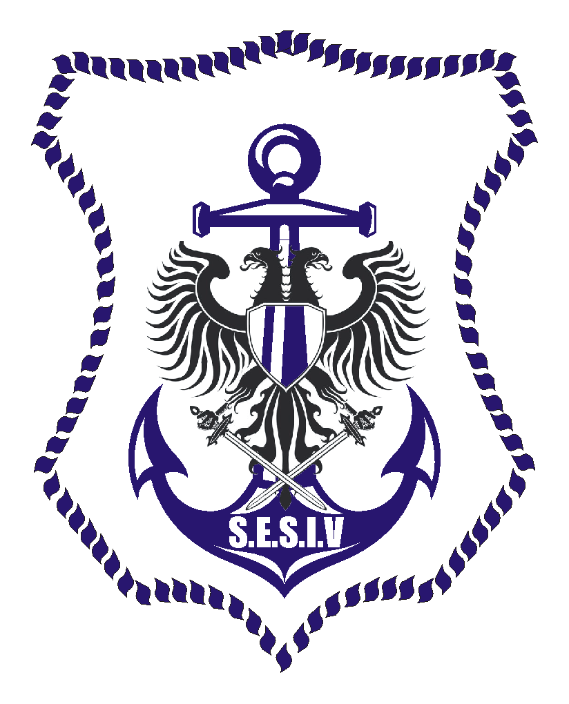 SESIV Seguridad