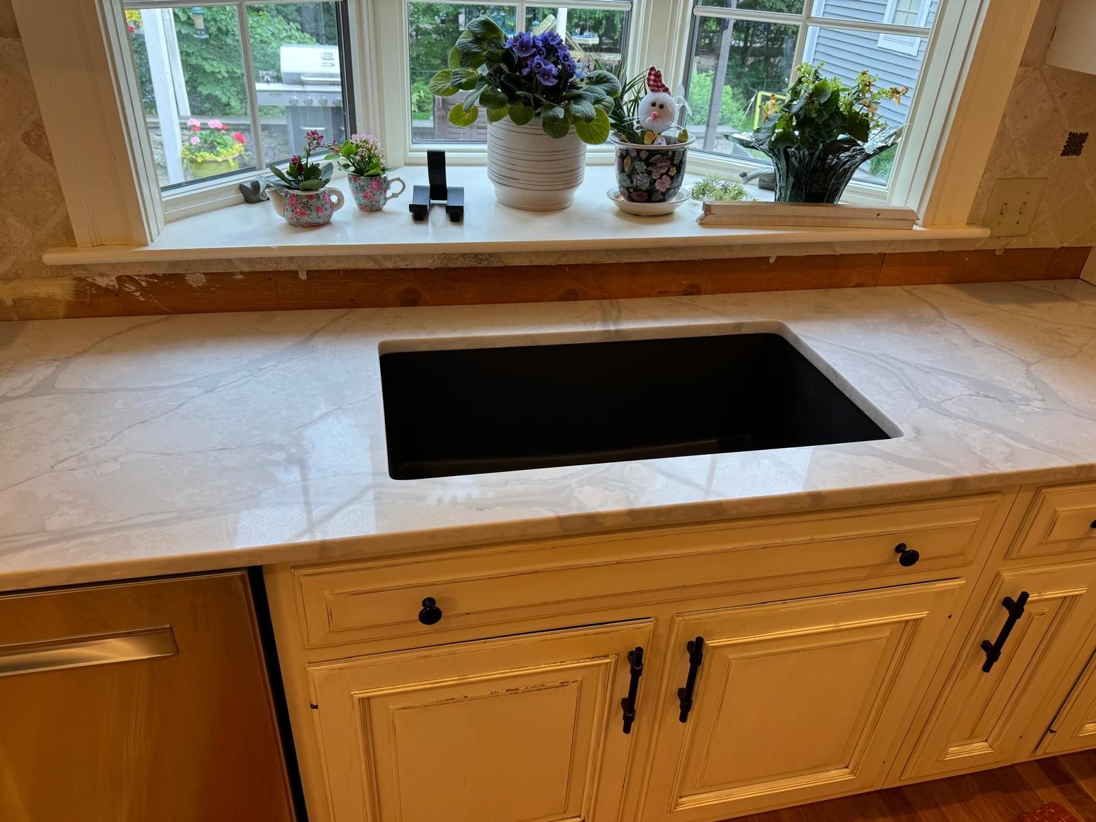 Kitchen countertop with a black sink and cabinets. Window with plants in the background.