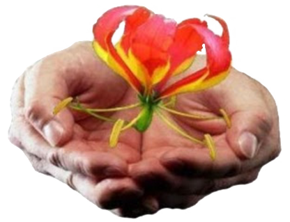 Flame Lilly Hands