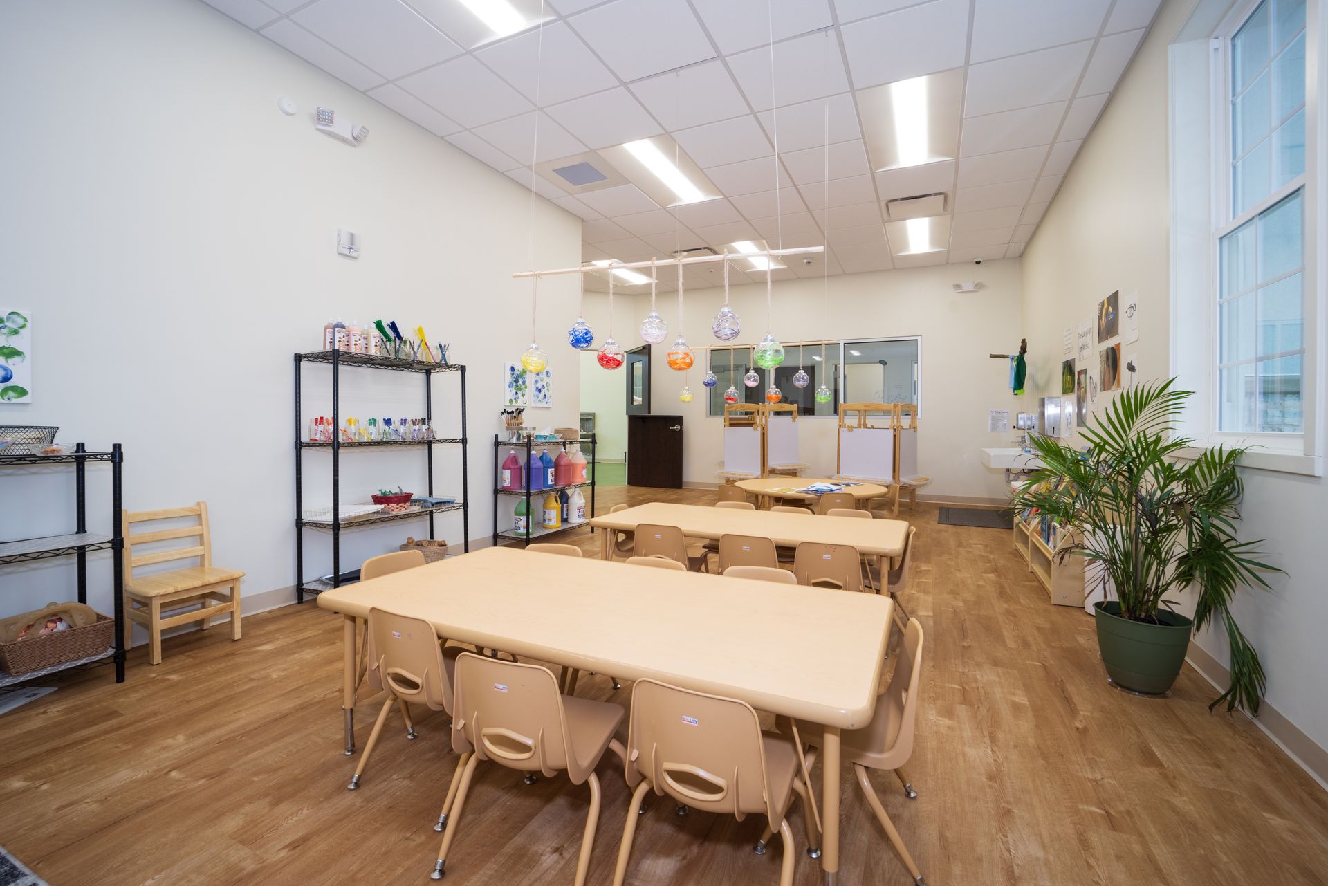 A classroom with tables and chairs and a potted plant.