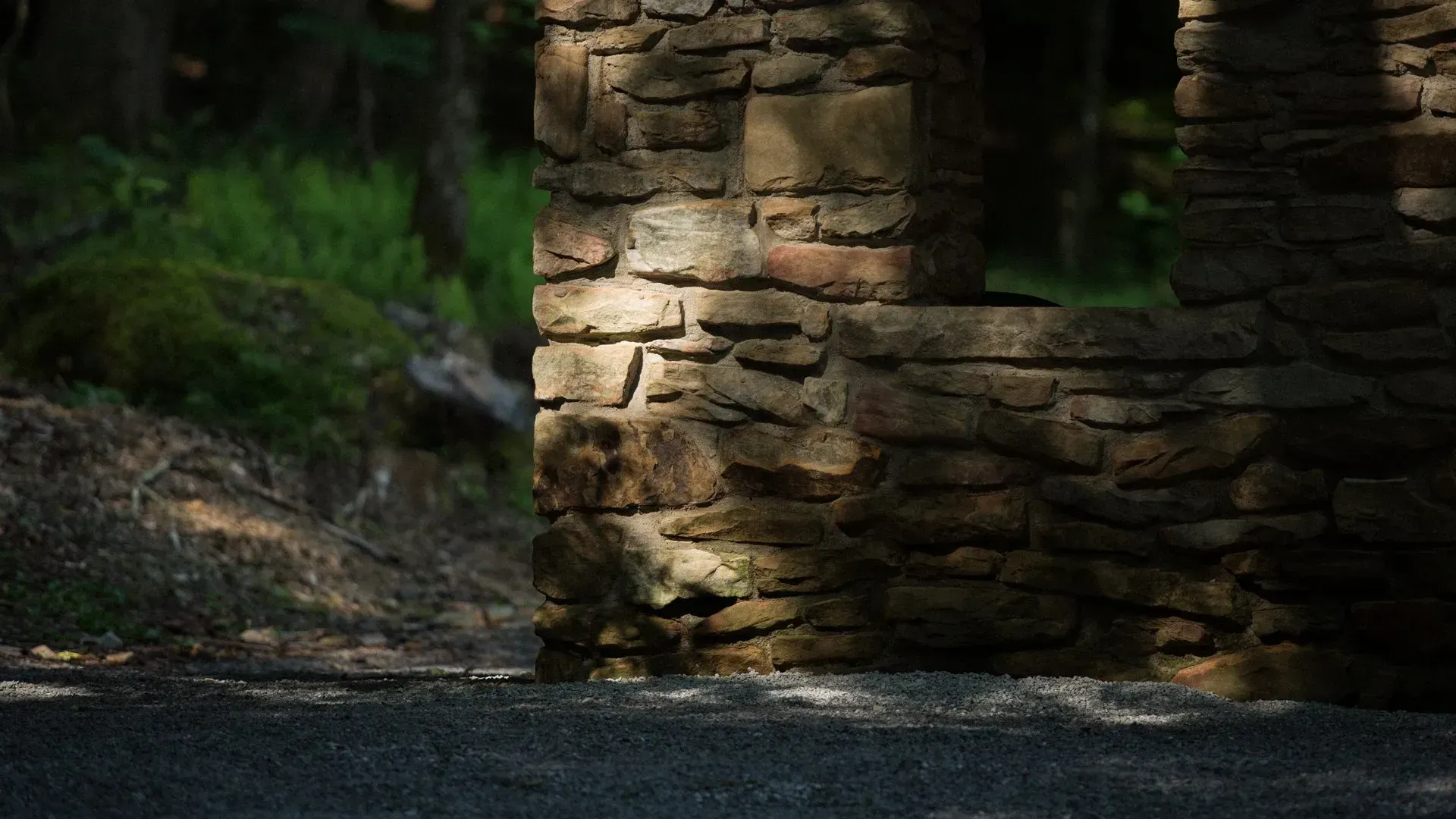 A squirrel is standing in front of a stone wall in the woods.