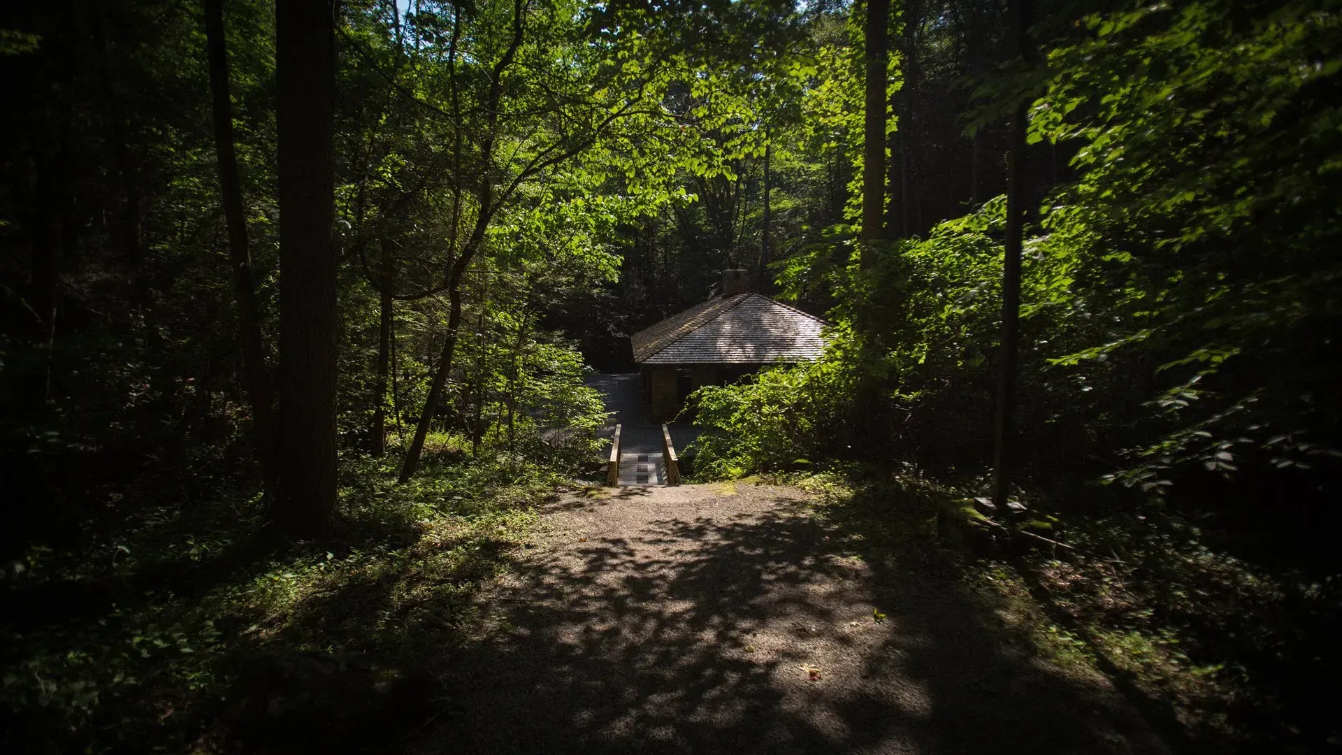 A path in the woods with a gazebo in the background.