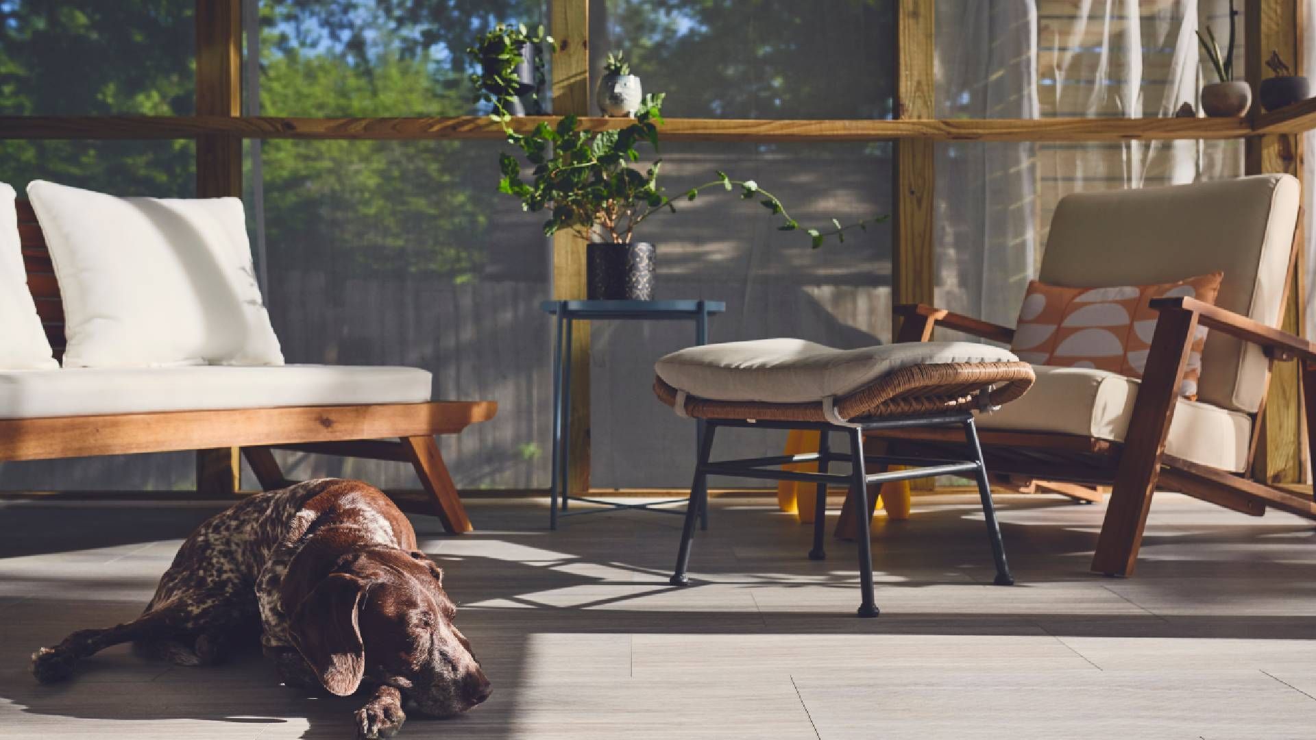 A dog is laying on the floor in a screened in porch.