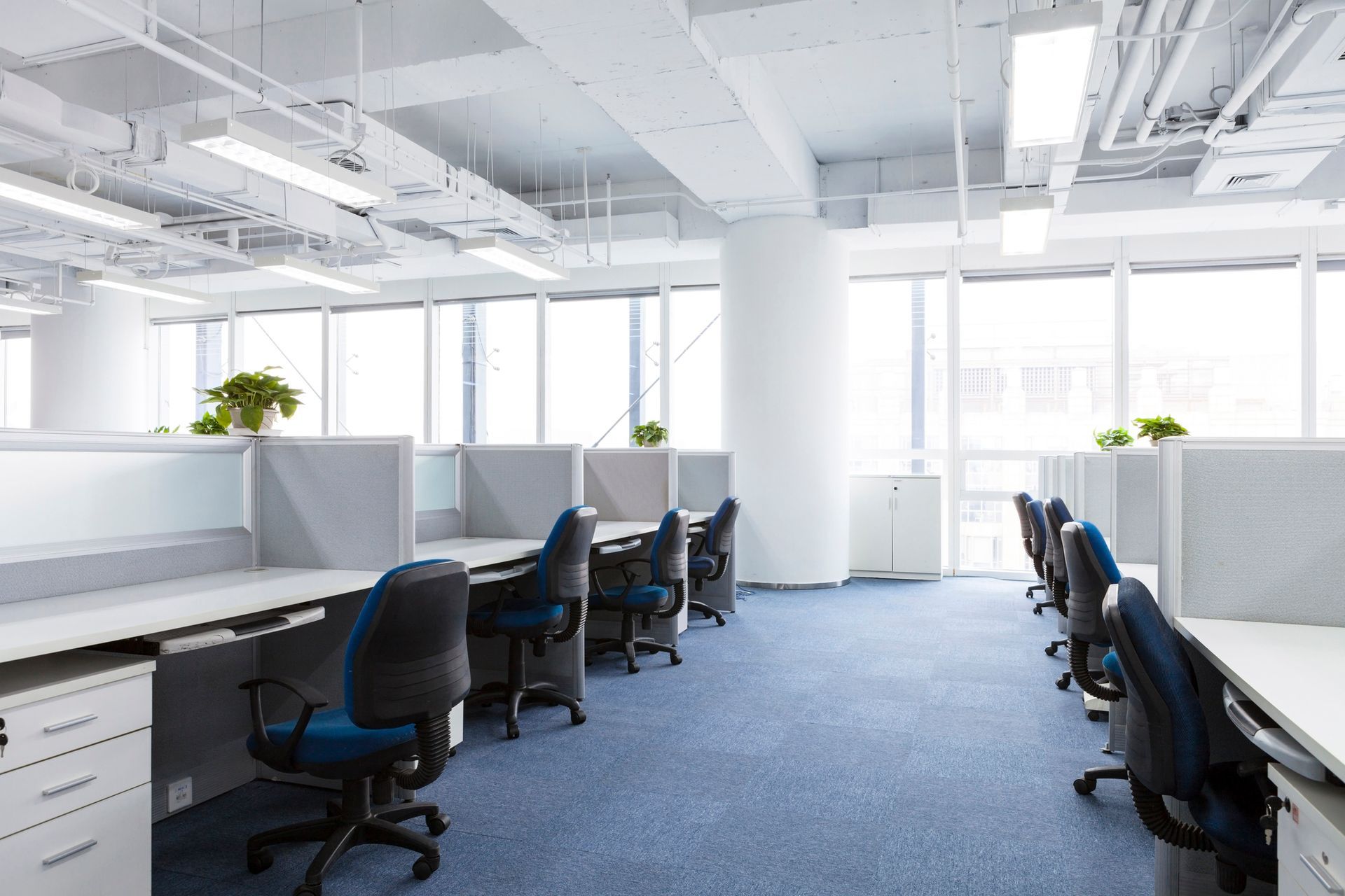 Bright office space with rows of cubicles, desks, and blue chairs. Blue carpet, white walls, and large windows.